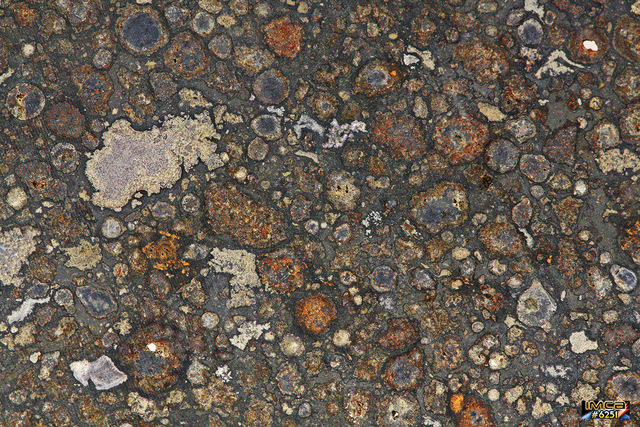 Szenes kondrit szeletelt kőzetszövete jól fejlett kondrumokkal és kálcium-alumínium tartalmú fehér zárványokkal